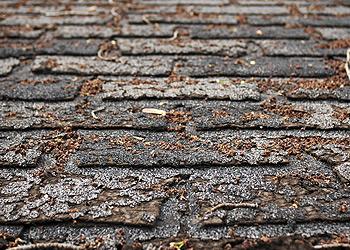 Jim Miller Roofing Images