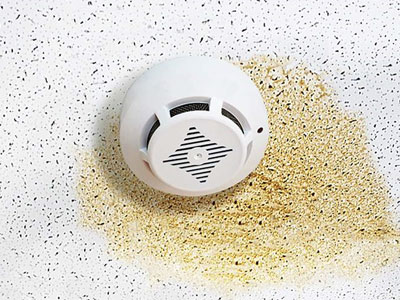 Jim Miller Inc. Images